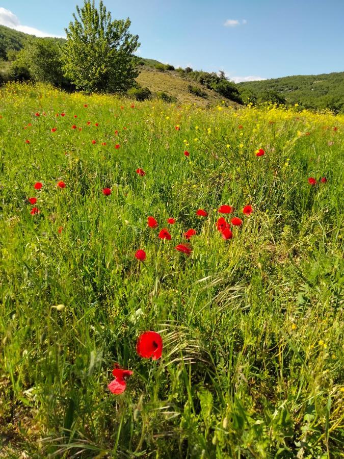 מלון Chomérac La Grange De Sabatas מראה חיצוני תמונה